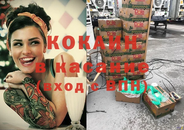 молекула духа Арсеньев