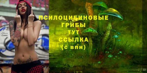 молекула духа Арсеньев