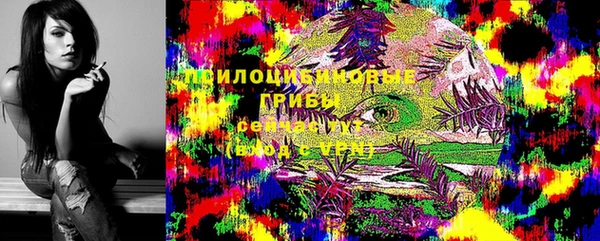 молекула духа Арсеньев